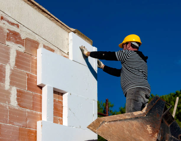 Best Cellulose Insulation in Rosemont, CA