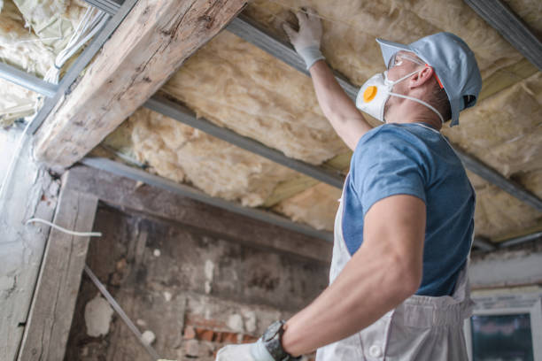 Best Commercial Insulation in Rosemont, CA