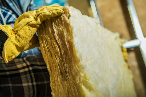 Best Residential Insulation in Rosemont, CA