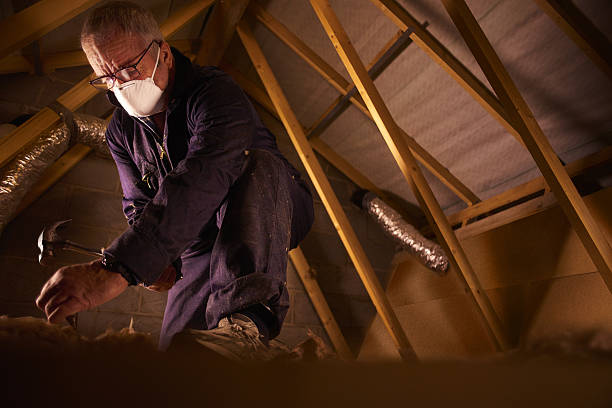 Best Geographic-Specific Insulation Services in Rosemont, CA
